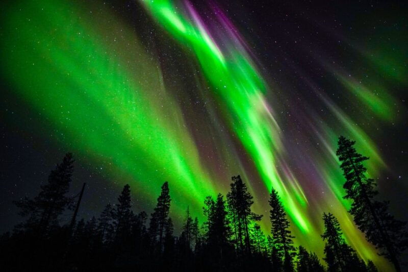 from-rovaniemi-family-friendly-northern-lights-tour