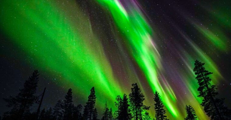 from-rovaniemi-family-friendly-northern-lights-tour