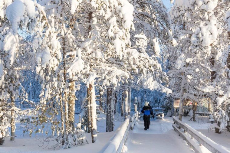 from-rovaniemi-family-friendly-visit-to-ranua-wildlife-park