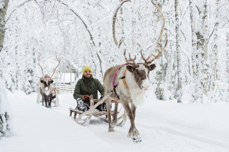 from-rovaniemi-husky-and-reindeer-farm-with-sled-ride