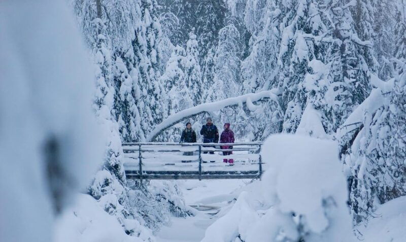 from-rovaniemi-korouoma-canyon-and-frozen-waterfalls-tour-2