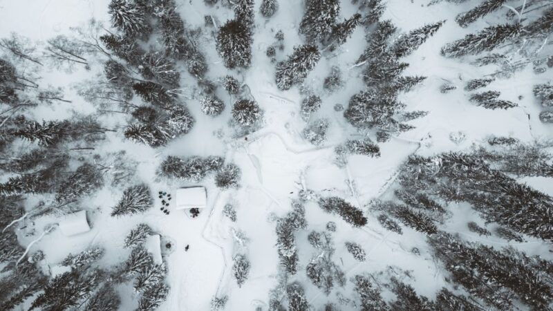 from-rovaniemi-korouoma-canyon-and-frozen-waterfalls-tour