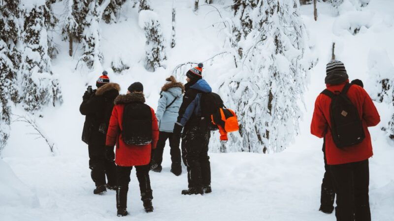 from-rovaniemi-korouoma-canyon-and-frozen-waterfalls-tour