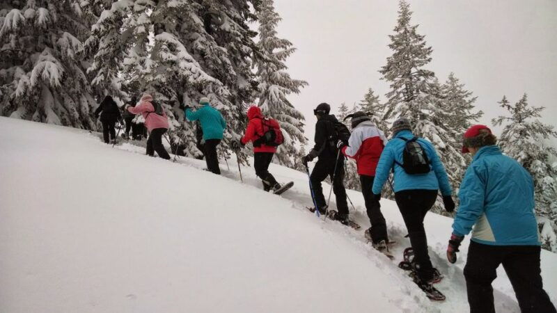from-rovaniemi-korouoma-frozen-waterfalls-small-group-hike