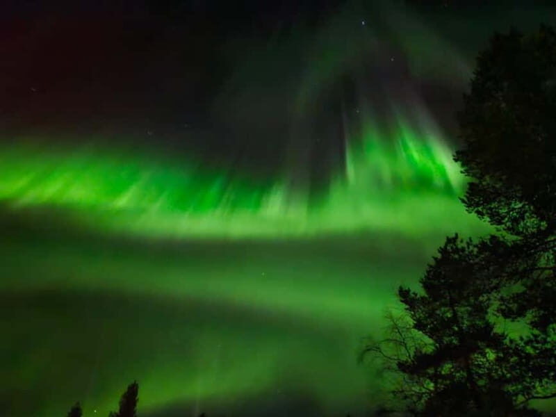 From Rovaniemi: Northern Lights Tour - Introduction