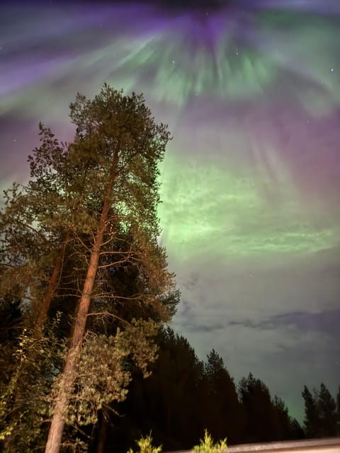 from-rovaniemi-northern-lights-tour-with-campfire-snacks