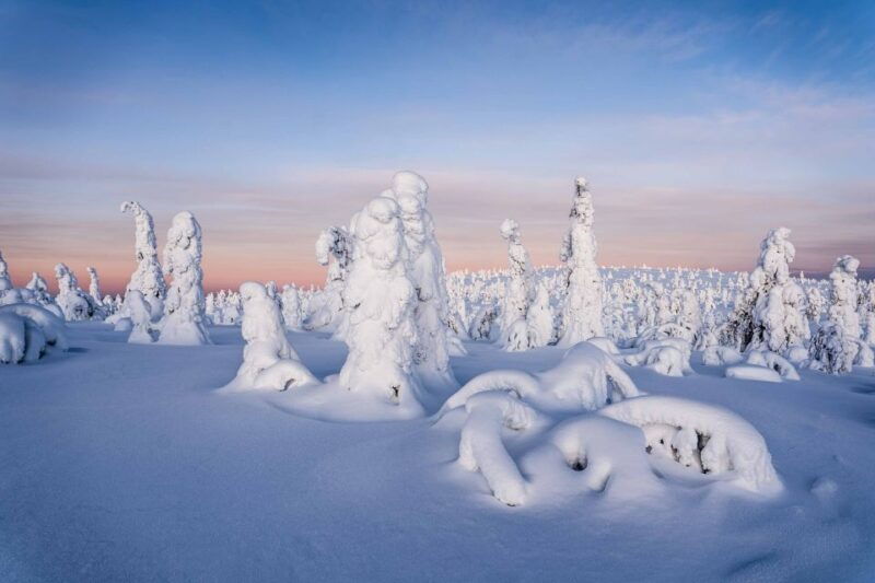 from-rovaniemi-riisitunturi-full-day-wilderness-adventure