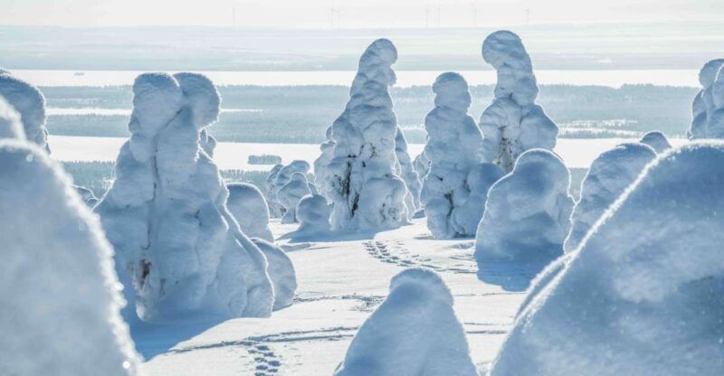 from-rovaniemi-riisitunturi-full-day-wilderness-adventure