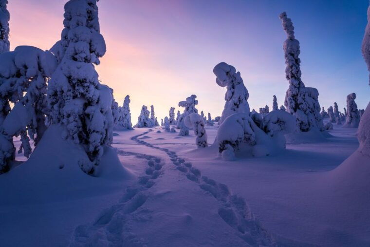from-rovaniemi-riisitunturi-full-day-wilderness-adventure
