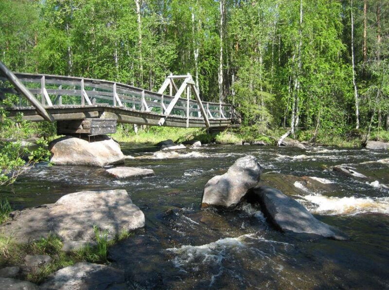 from-rovaniemi-vikakongas-forest-hiking-tour