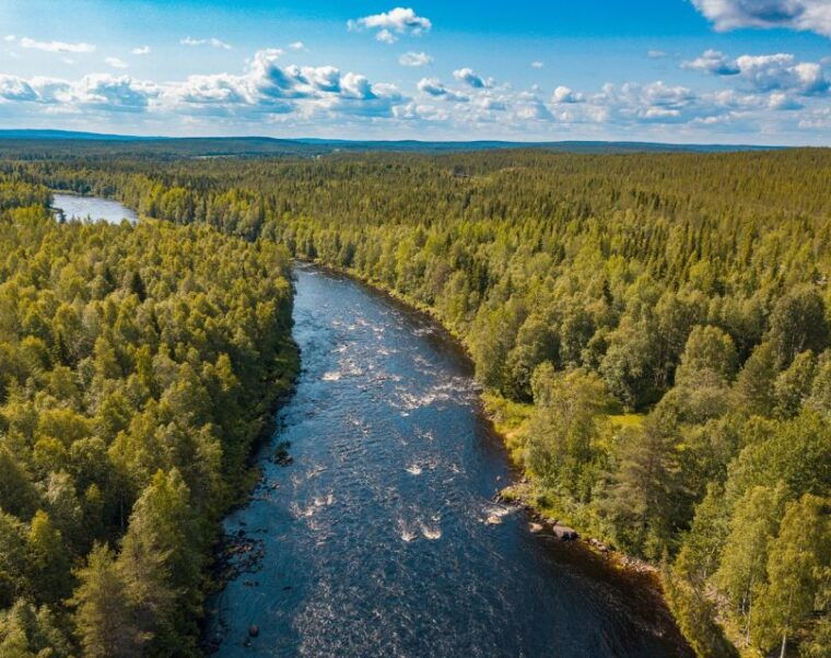 from-rovaniemi-vikakongas-forest-hiking-tour