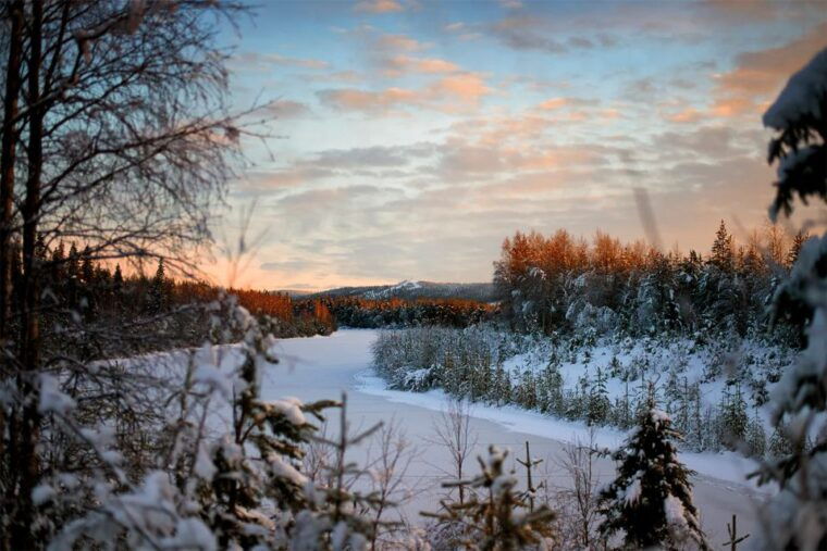 from-rovaniemi-vikakongas-forest-hiking-tour