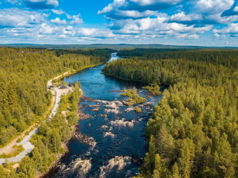 from-rovaniemi-vikakongas-forest-hiking-tour