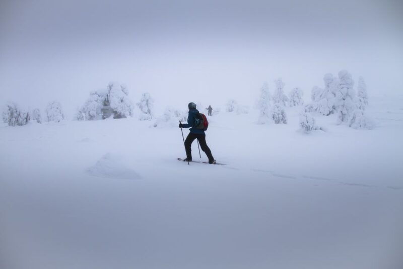 from-rovaniemi-winter-wonderland-hike-with-a-hot-drink