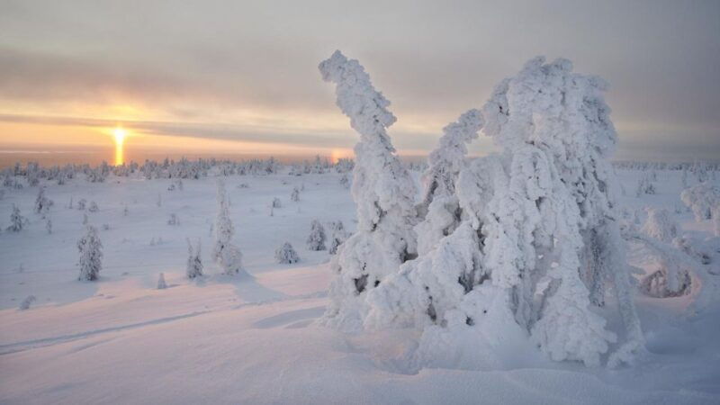from-rovaniemi-winter-wonderland-hike-with-a-hot-drink