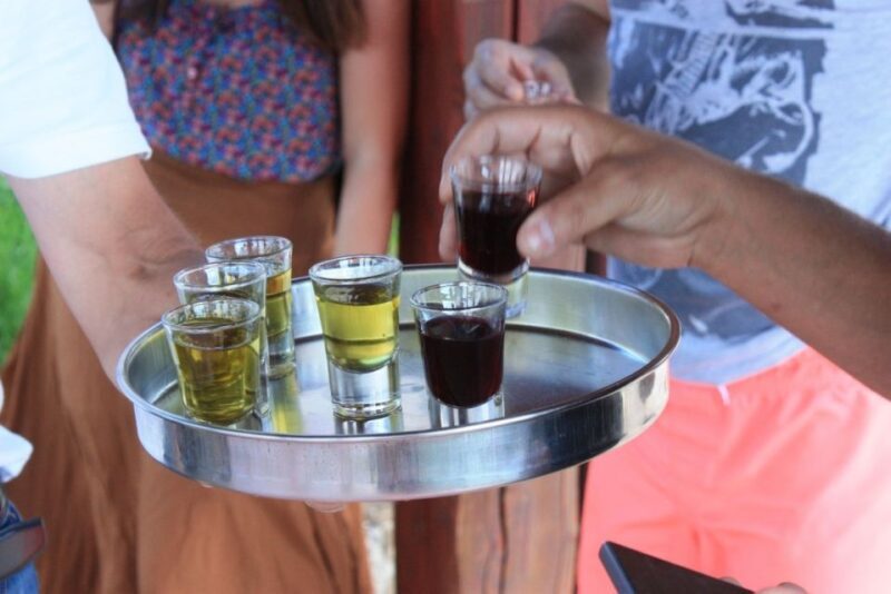 From Rovinj: Rovinj, Motovun and Gronjan Day Tour - The Sum Up: Who Will Love This Tour?