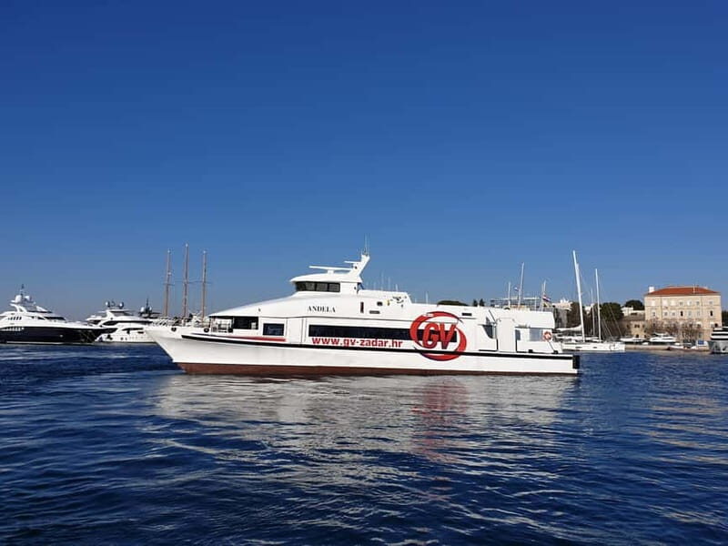 From Rovinj: Venice Boat Trip with Day or One-Way Option - Final Thoughts