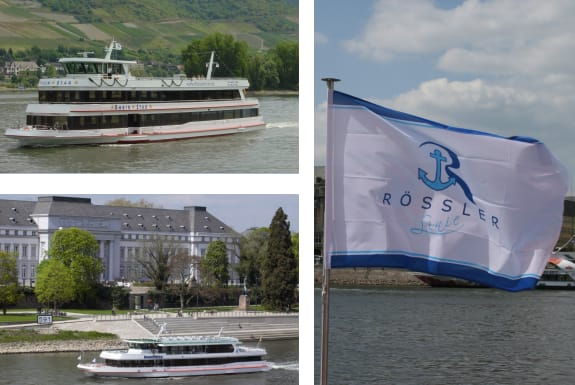 from-rudesheim-1-5-hour-boat-cruise-with-wine-tasting