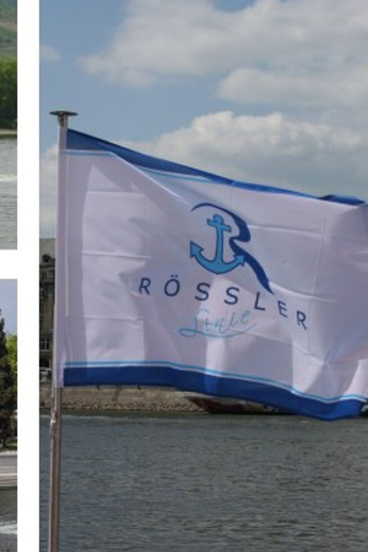 from-rudesheim-1-5-hour-boat-cruise-with-wine-tasting
