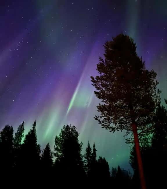 From Ruka: Northern Lights Wilderness Tour with Van - Key Points