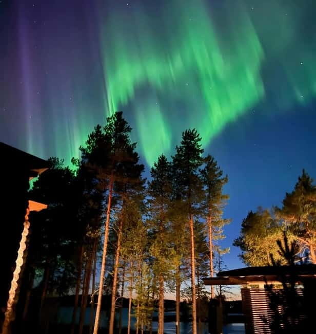 From Ruka: Northern Lights Wilderness Tour with Van - The Itinerary and What to Expect