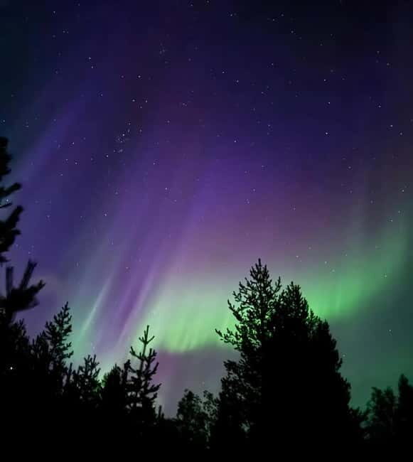From Ruka: Northern Lights Wilderness Tour with Van - The Experience from a Reviewers Perspective