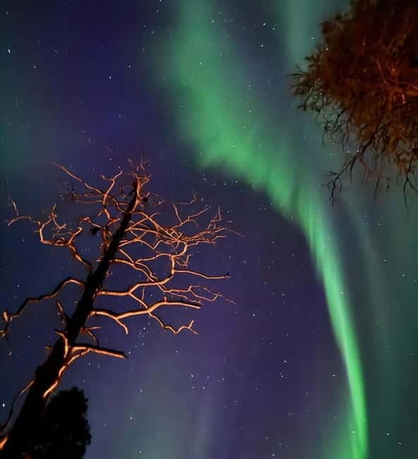 From Ruka: Northern Lights Wilderness Tour with Van - Final Thoughts