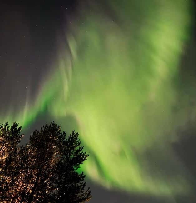 From Ruka: Northern Lights Wilderness Tour with Van - Frequently Asked Questions