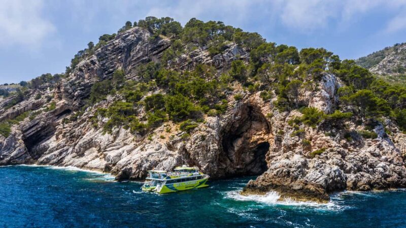 From Sa Coma: East Coast Glass Bottom Boat Trip - Final Thoughts: Is It Worth It?