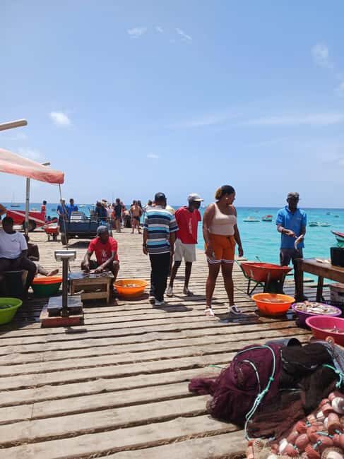 From Sal Island: Blu eye, Salt lake, Lemon Sharks & Palmeira - Final Thoughts