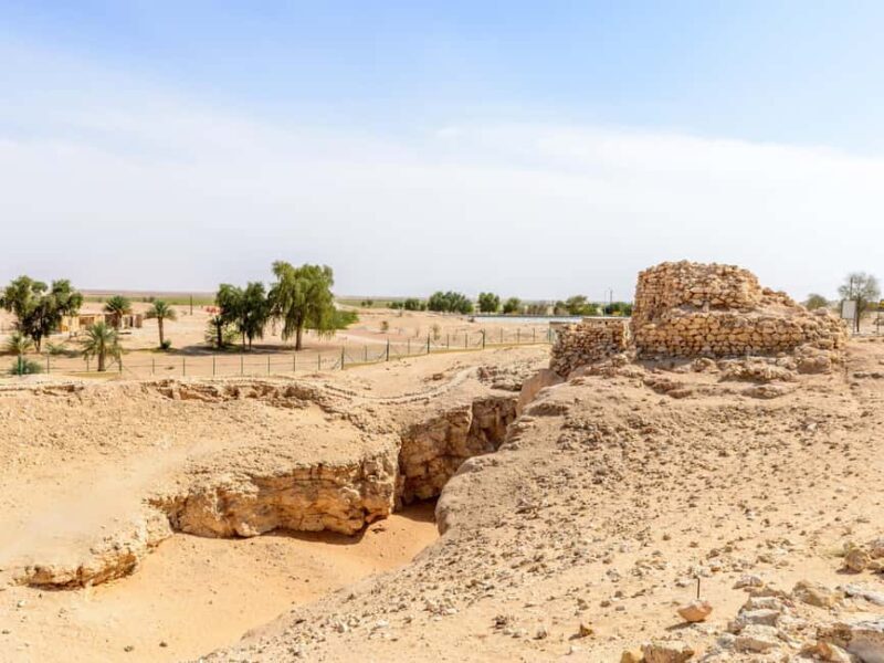 From Salalah: Lost City (Full Day Excursion to Rub Al Khali) - The Practicalities: What You Need to Know