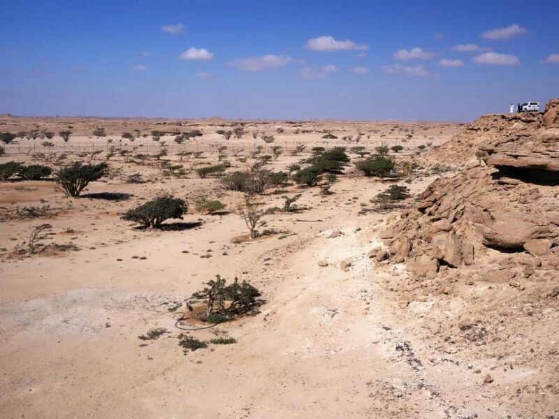 From Salalah: Lost City (Full Day Excursion to Rub Al Khali) - Who Will Love This Tour?