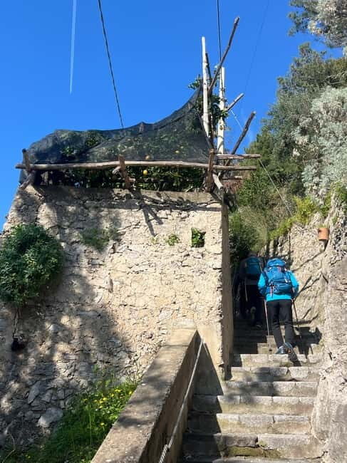 From Salerno: Lemon Tour with Tasting Session and Transfer - An In-Depth Look at the Salerno Lemon Tour