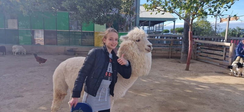 From Salou: animal farm park with hotel pickup - The Sum Up