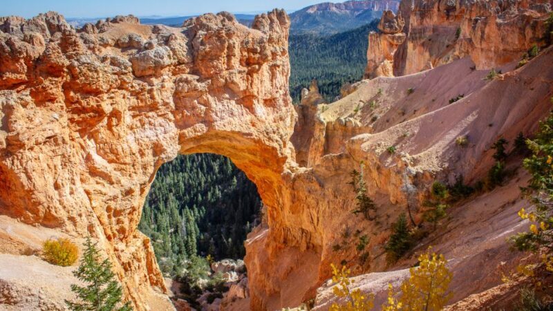 From Salt Lake City: Private Bryce Canyon National Park Tour - An Honest Look at the Bryce Canyon Private Tour