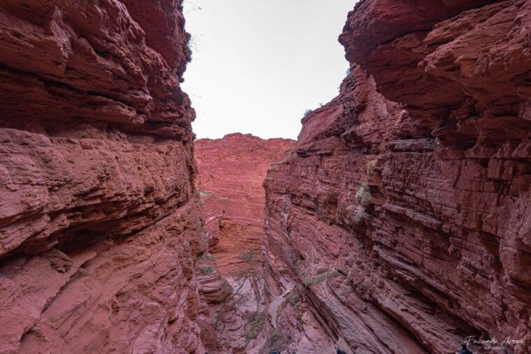 from-salta-2-day-guided-trip-to-cafayate-salinas-grandes