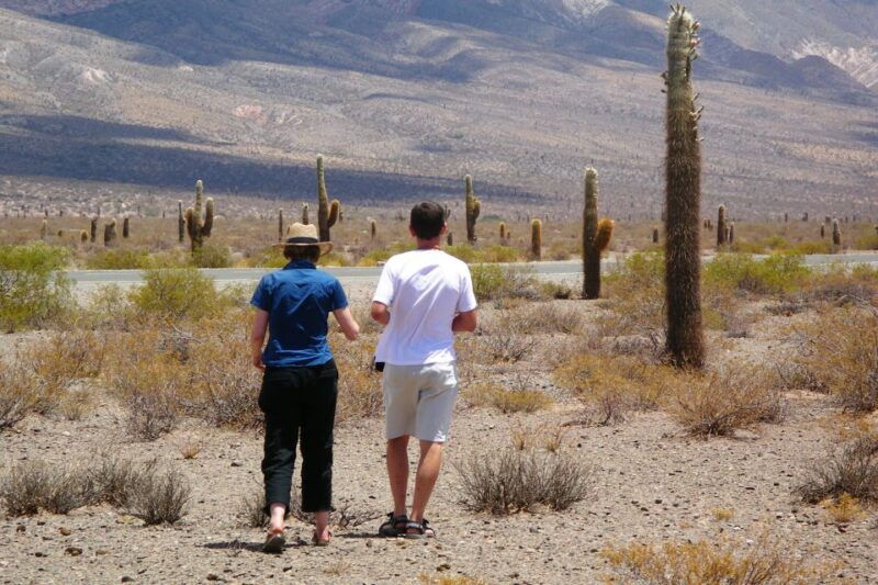 from-salta-cachi-and-salinas-grandes-2-day-guided-trip