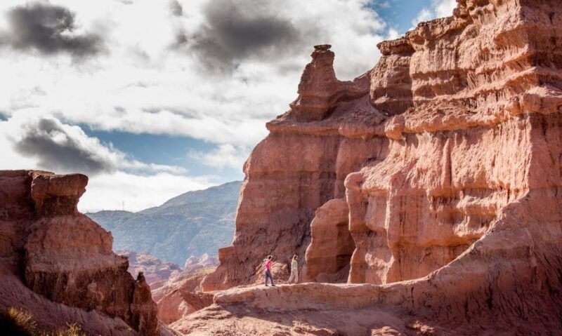 from-salta-full-day-wine-and-valley-tour-to-cafayate