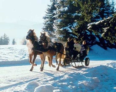 From Salzburg: 8 hour Horse-Drawn incl. 2-hour Carriage Ride - Authentic Experiences and Why They Count