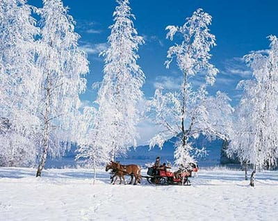 from-salzburg-8-hour-horse-drawn-tour-w-2-hour-sleigh-ride