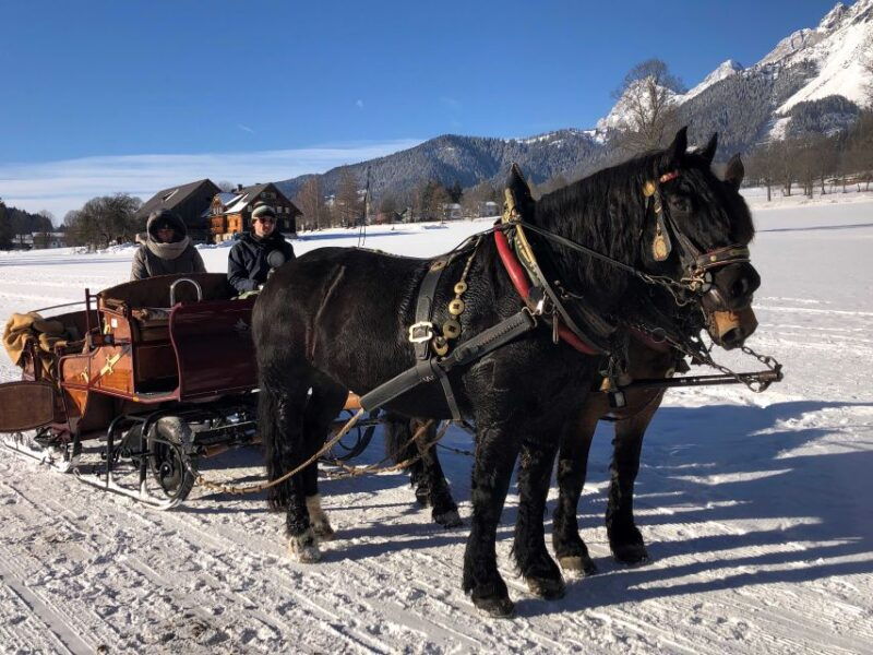 from-salzburg-8-hour-horse-drawn-tour-w-2-hour-sleigh-ride