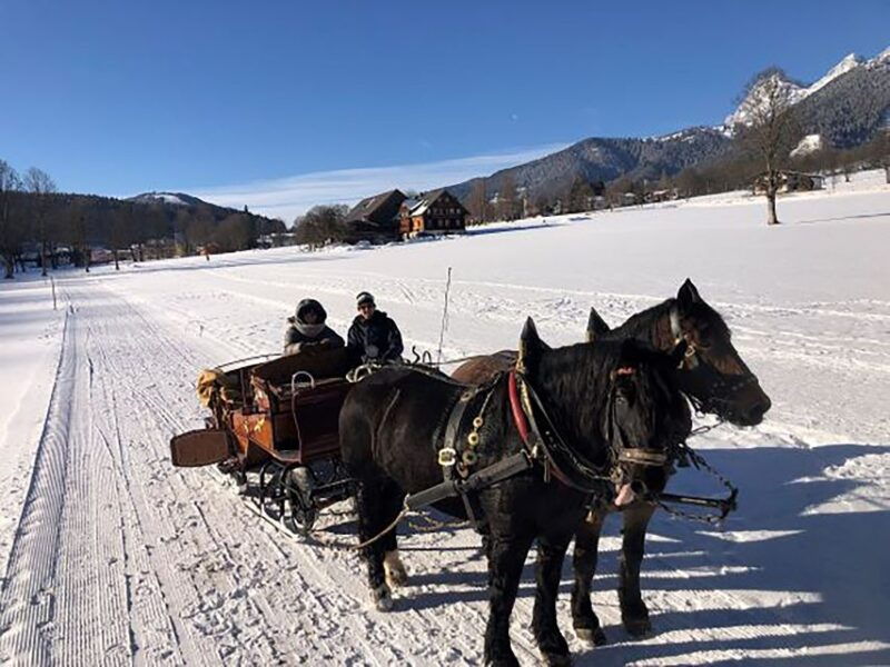from-salzburg-8-hour-horse-drawn-tour-w-2-hour-sleigh-ride