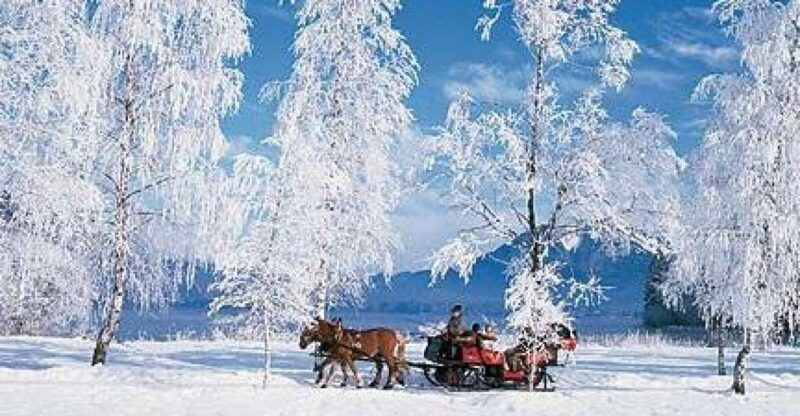 from-salzburg-romantic-sleigh-ride-through-the-countryside