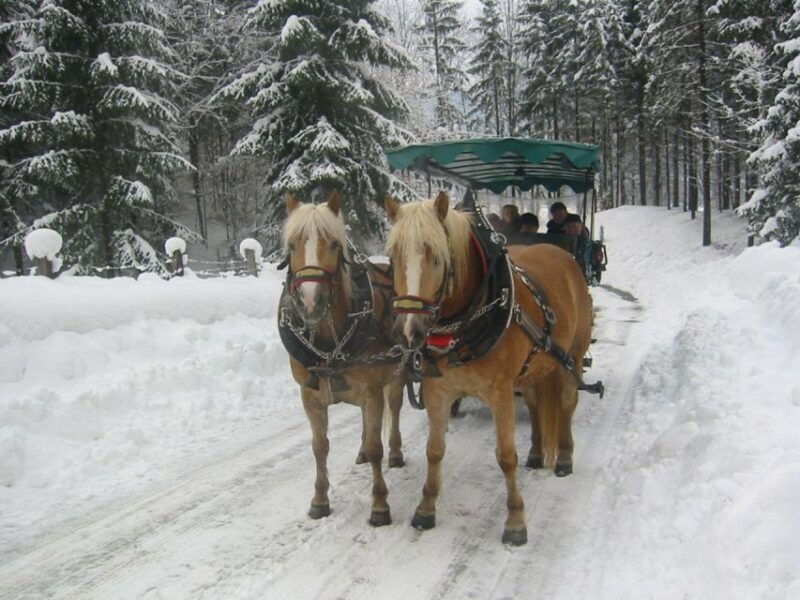 from-salzburg-romantic-sleigh-ride-through-the-countryside