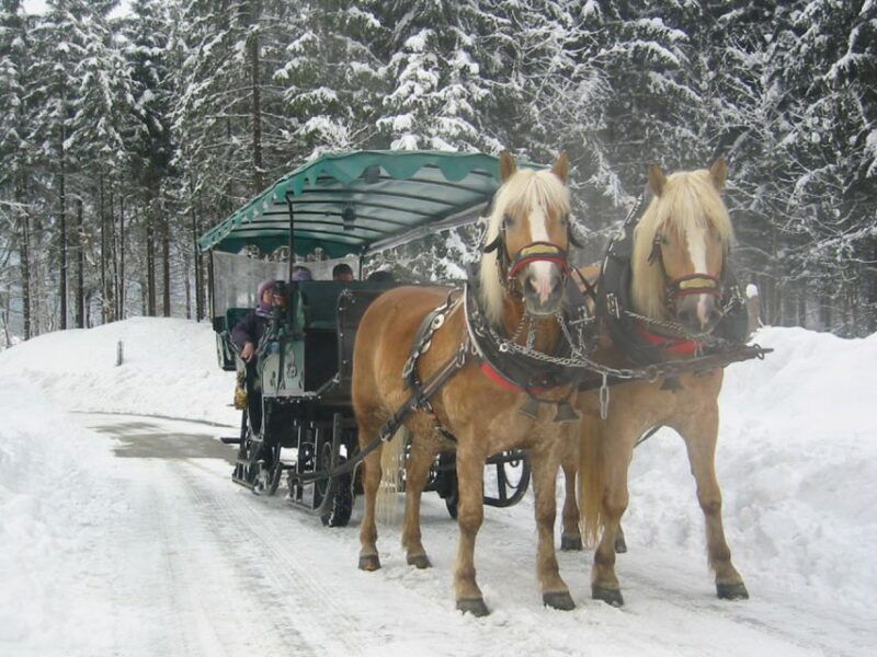 from-salzburg-romantic-sleigh-ride-through-the-countryside