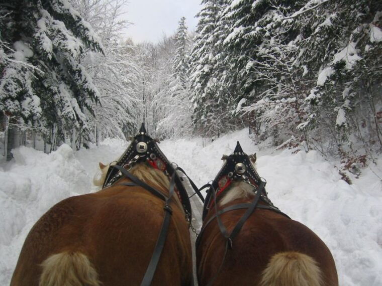 from-salzburg-romantic-sleigh-ride-through-the-countryside