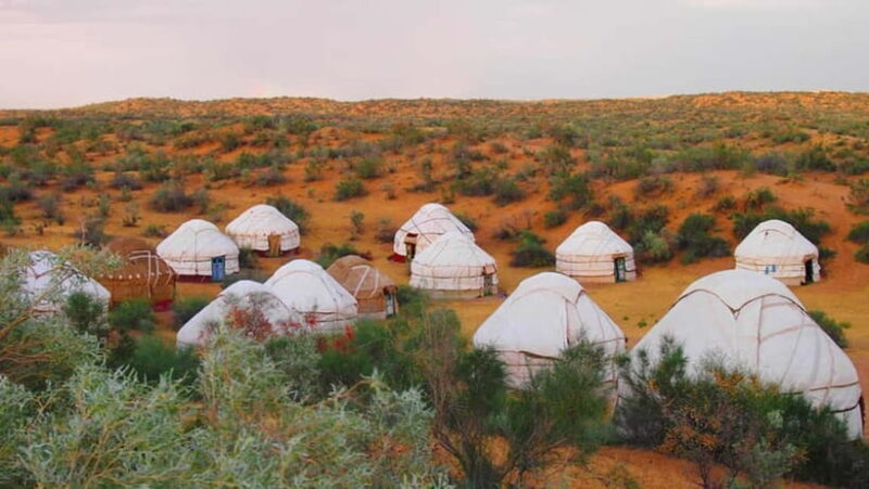 From Samarkand: 2-Day Yurt Camp Adventure with Camel Ride - Introduction
