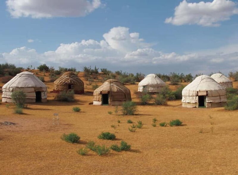 From Samarkand: 2-Day Yurt Camp Adventure with Camel Ride - What Makes This Tour Stand Out