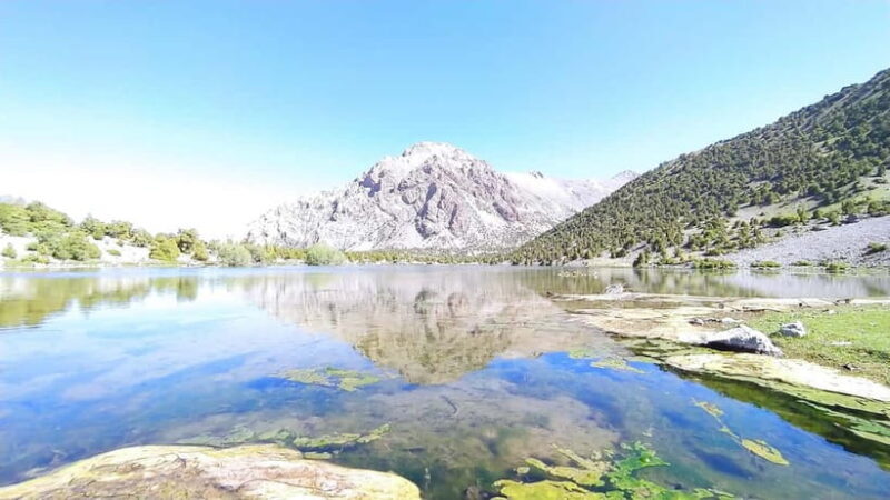 From Samarkand: 4-Day Fann Mountains Trekking Private Tour - Who Is This Tour Best For?