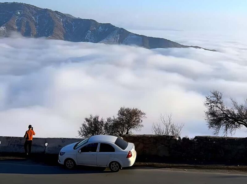 From Samarkand: Shahrisabz Tour via Mountain Pass - Who Is This Tour Best For?